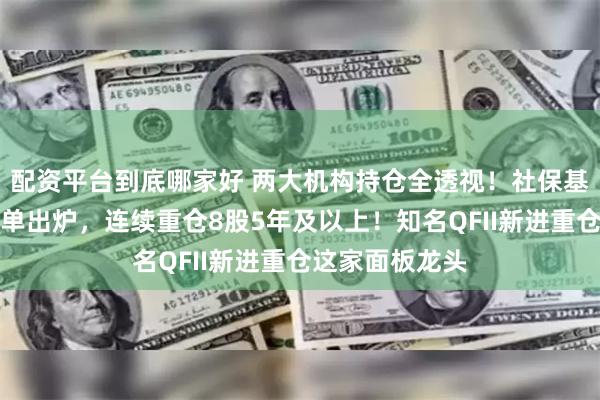 配资平台到底哪家好 两大机构持仓全透视！社保基金重仓持股名单出炉，连续重仓8股5年及以上！知名QFII新进重仓这家面板龙头