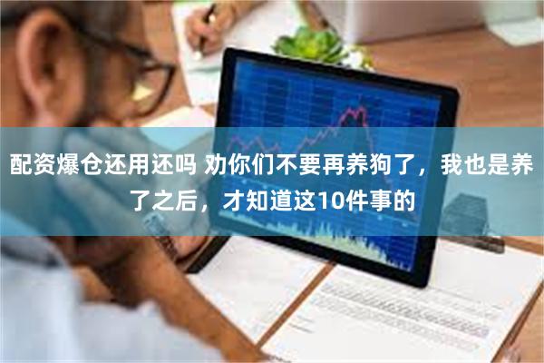 配资爆仓还用还吗 劝你们不要再养狗了，我也是养了之后，才知道这10件事的